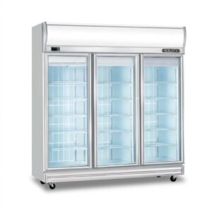 Tủ đông trưng bày 3 cánh kính Berjaya 3D-DF-SM-EV, ảnh sản phẩm nền trắng
